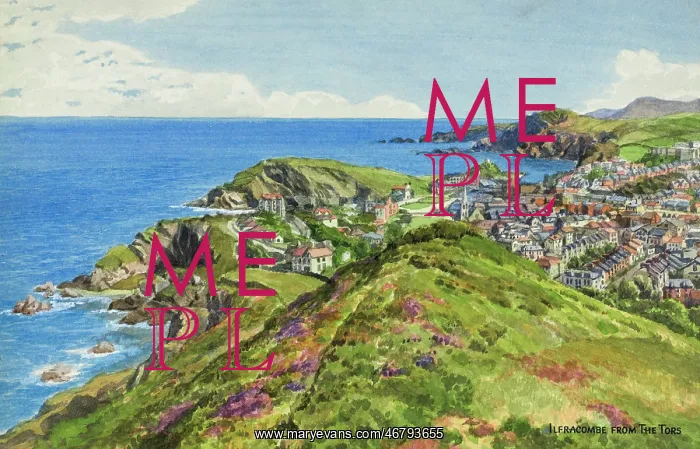 : Ilfracombe, Devon, viewed from the Tors : Ilfracombe, Devon, viewed from the Tors