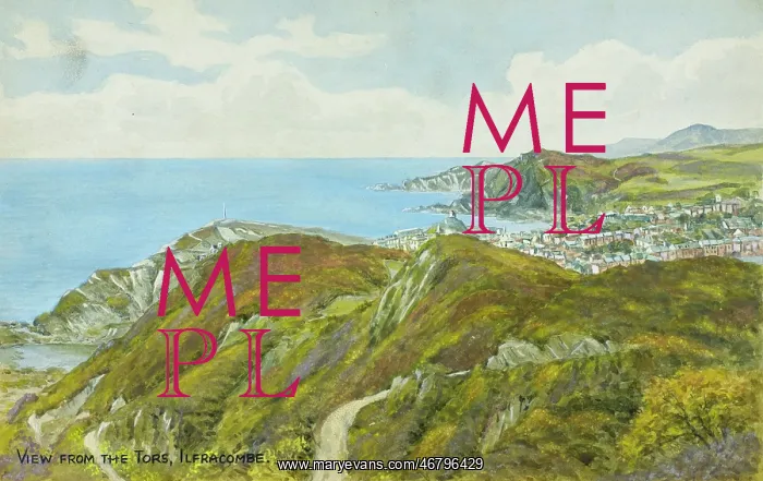 : Ilfracombe, North Devon, viewed from the Tors : Ilfracombe, North Devon, viewed from the Tors