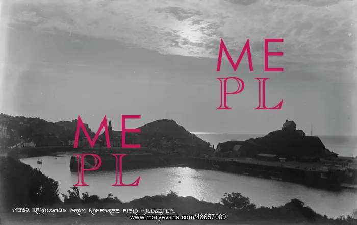 : Ilfracombe from Rapparee Field : Ilfracombe from Rapparee Field