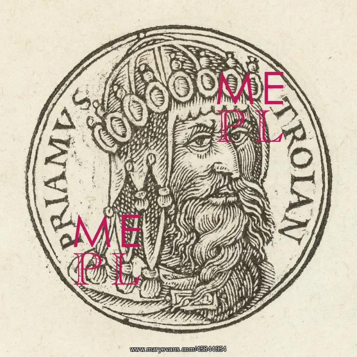  : Iliad - Priam