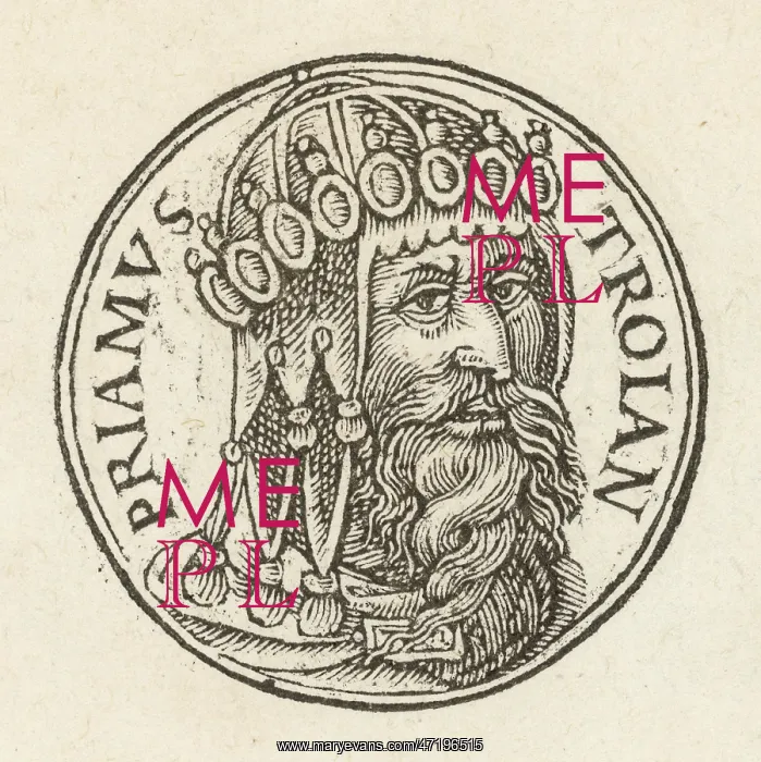  : Iliad - Priam