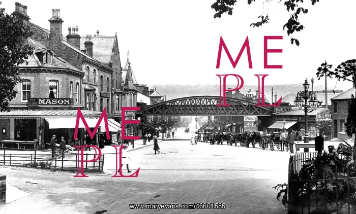  : Ilkley, Brook Street 1911