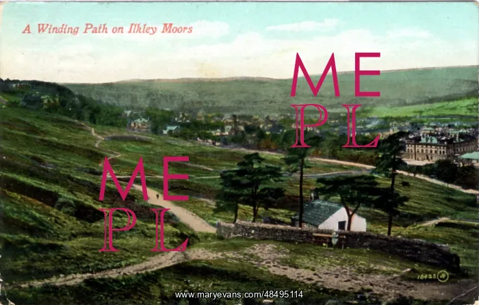 : Ilkley Moor, Ilkley, Yorkshire : Ilkley Moor, Ilkley, Yorkshire