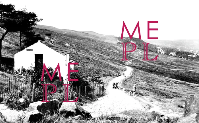  : Ilkley, the Moors 1914