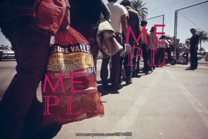 : Illegal Mexican immigrants seeking US farm ? : Illegal Mexican immigrants seeking US farm ?