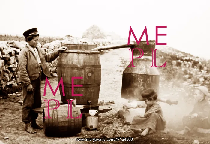  : Illicit whiskey still, Ireland