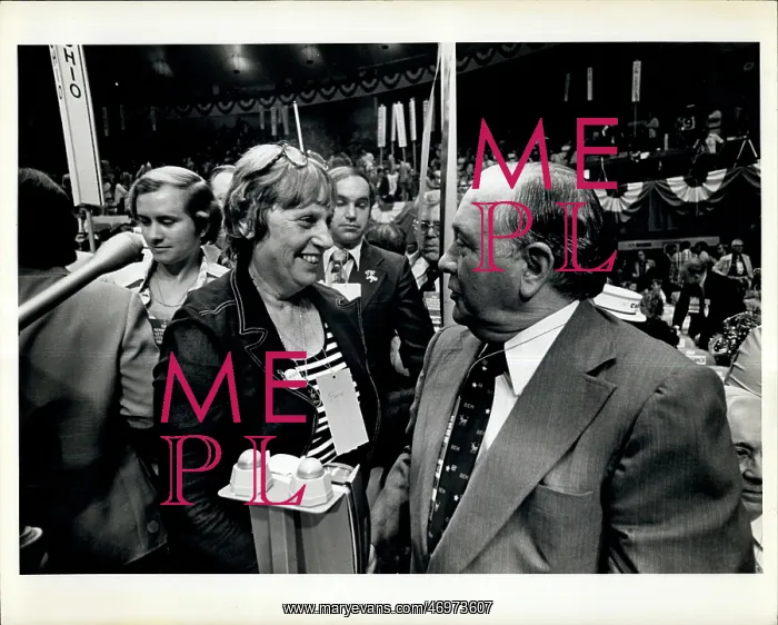 : Illinois. Richard Daley at Convention : Illinois. Richard Daley at Convention