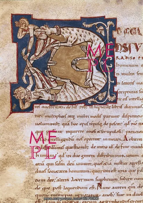 : Illuminated initial. 12th c. It belongs to a : Illuminated initial. 12th c. It belongs to a