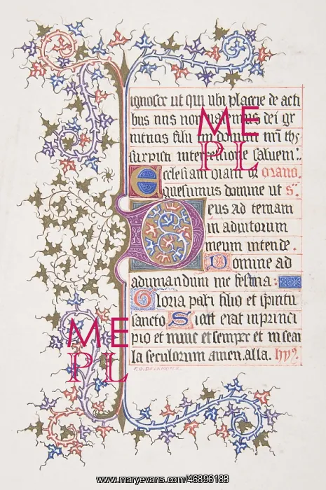 : Illuminated Leaf with Initial E (recto); Vine : Illuminated Leaf with Initial E (recto); Vine