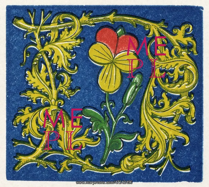  : Illuminated letter D