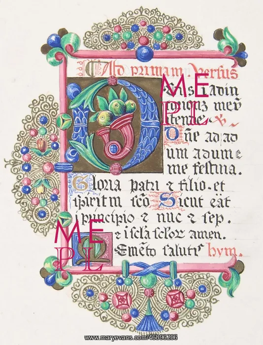 : Illuminated Letter D within a Decorated Border : Illuminated Letter D within a Decorated Border