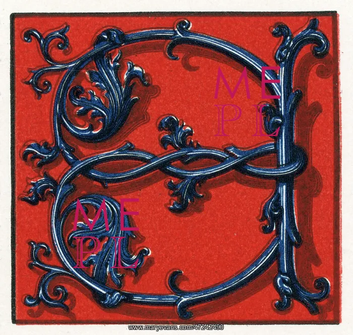 : Illuminated letter E : Illuminated letter E