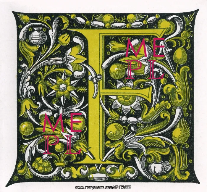  : Illuminated letter F