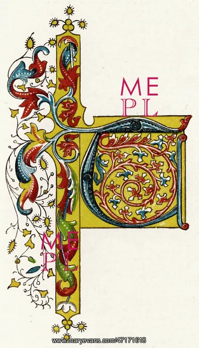  : Illuminated letter T