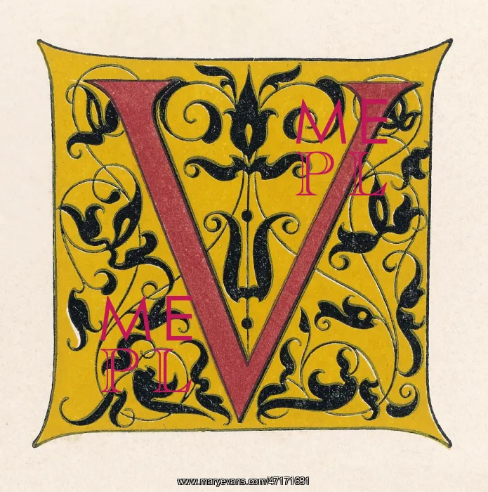 : Illuminated letter V : Illuminated letter V