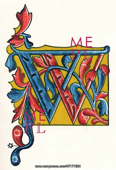 : Illuminated letter W : Illuminated letter W