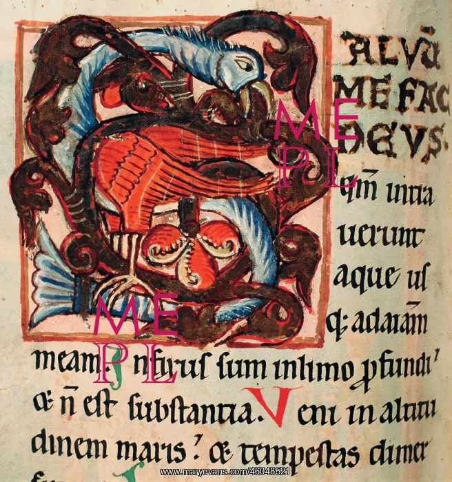: Illuminated manuscript : Illuminated manuscript