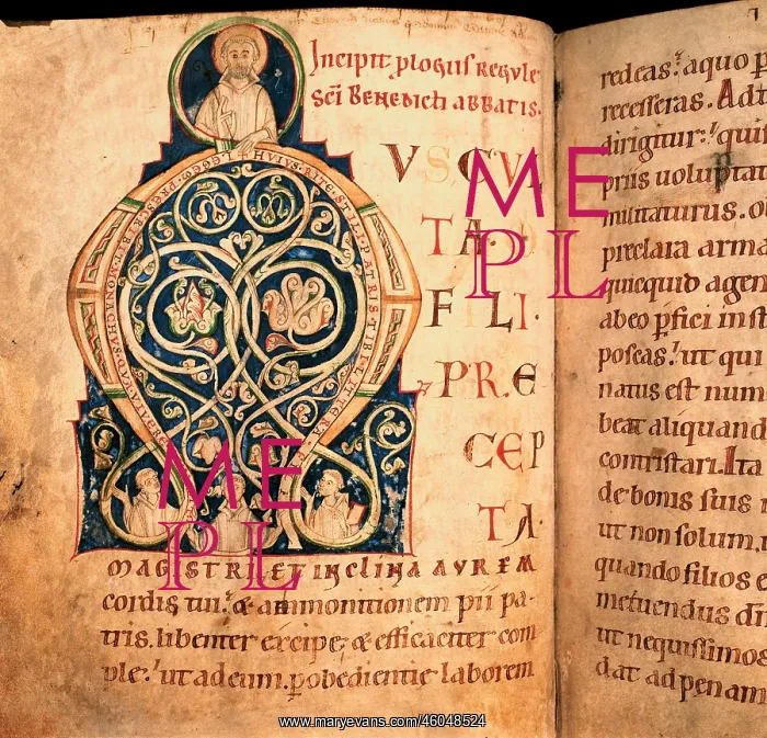 : Illuminated manuscript : Illuminated manuscript