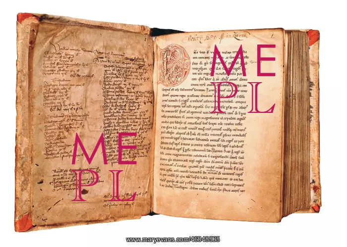: Illuminated manuscript : Illuminated manuscript