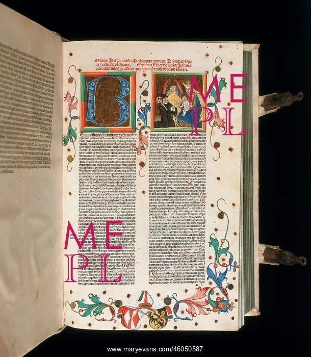 : Illuminated manuscript : Illuminated manuscript