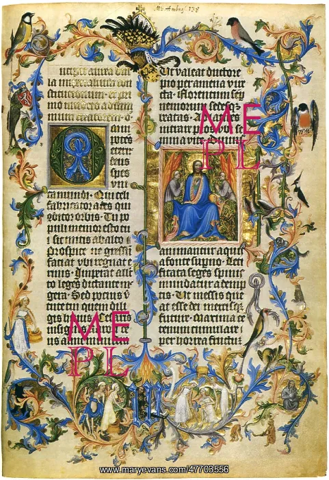  : Illuminated Page