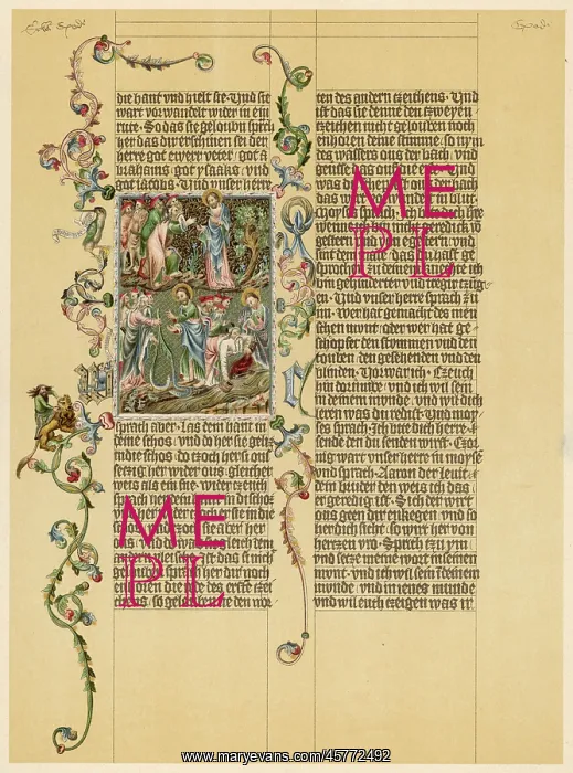 : Illuminated Wenzelbibel manuscript : Illuminated Wenzelbibel manuscript
