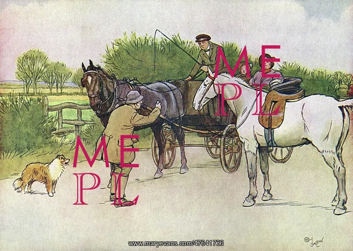 : Illustration, Black Beauty : Illustration, Black Beauty
