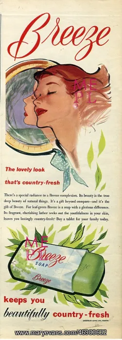 : Illustration for Breeze soap, 1955 : Illustration for Breeze soap, 1955