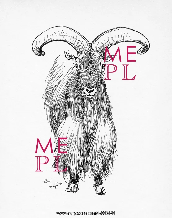  : Illustration by Cecil Aldin, The Barbary Sheep