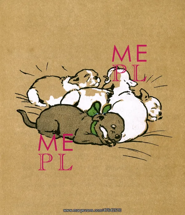 : Illustration by Cecil Aldin, Black Billy : Illustration by Cecil Aldin, Black Billy