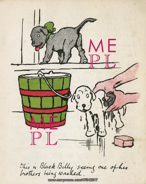 : Illustration by Cecil Aldin, Black Billy : Illustration by Cecil Aldin, Black Billy