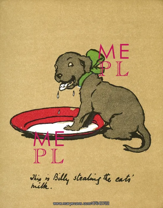 : Illustration by Cecil Aldin, Black Billy : Illustration by Cecil Aldin, Black Billy