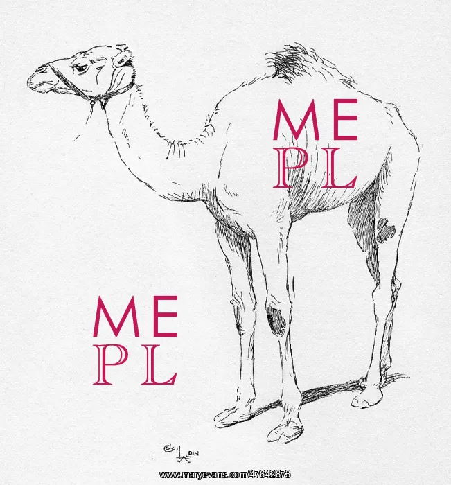  : Illustration by Cecil Aldin, The Camel