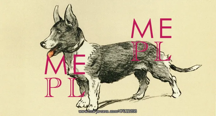  : Illustration by Cecil Aldin, a corgi dog