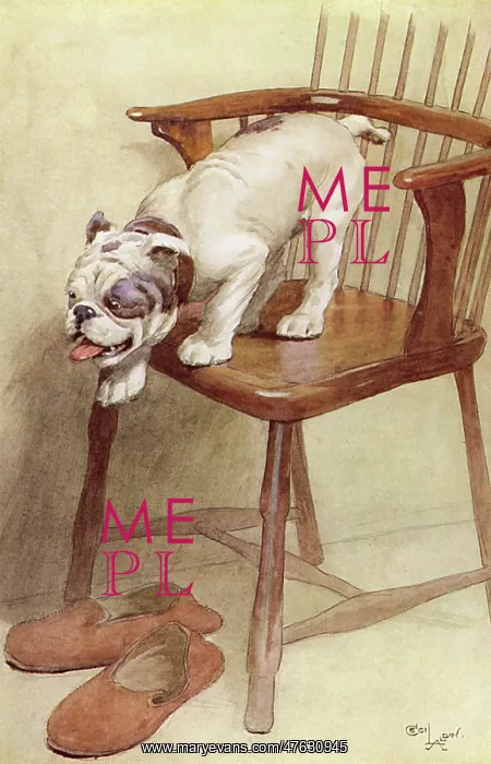 : Illustration by Cecil Aldin, My Dog : Illustration by Cecil Aldin, My Dog