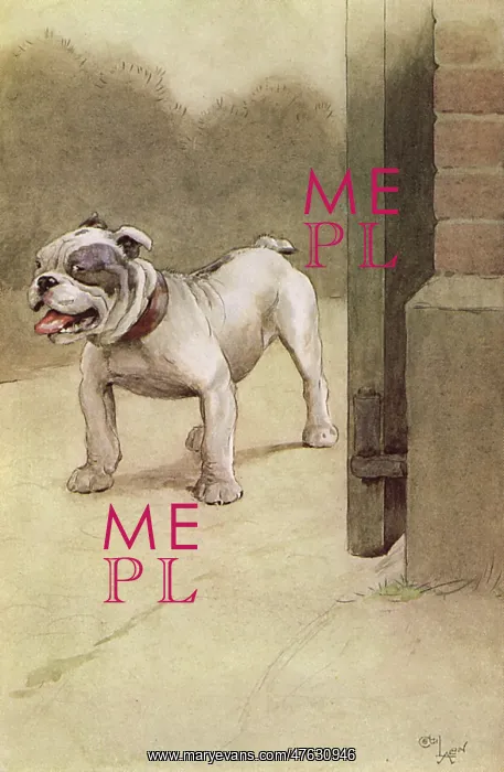 : Illustration by Cecil Aldin, My Dog : Illustration by Cecil Aldin, My Dog