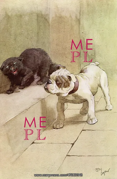 : Illustration by Cecil Aldin, My Dog : Illustration by Cecil Aldin, My Dog