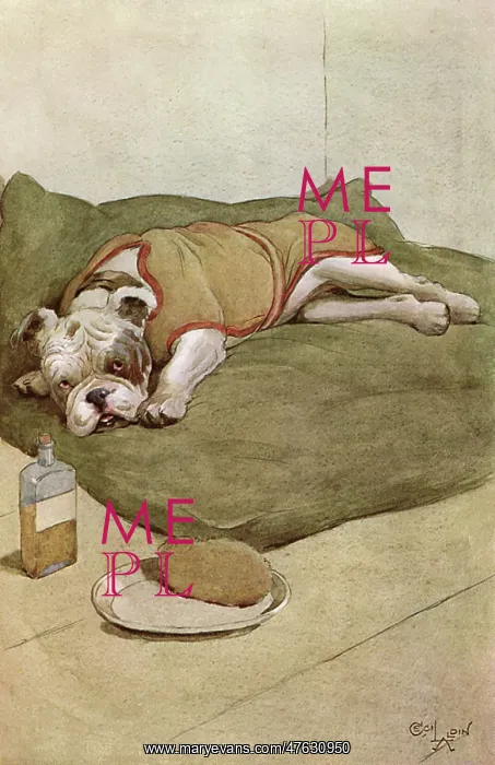 : Illustration by Cecil Aldin, My Dog : Illustration by Cecil Aldin, My Dog