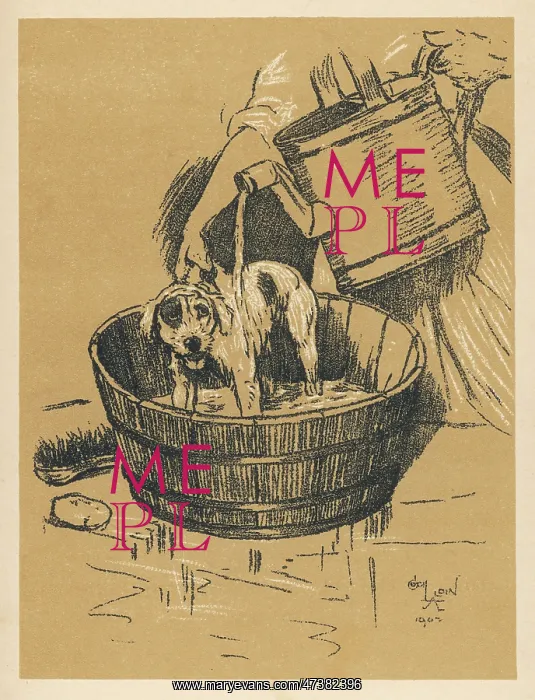: Illustration by Cecil Aldin, A Dog Day : Illustration by Cecil Aldin, A Dog Day