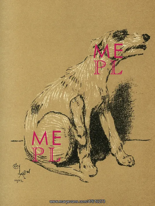 : Illustration by Cecil Aldin, A Dog Day : Illustration by Cecil Aldin, A Dog Day