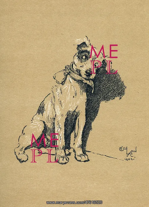 : Illustration by Cecil Aldin, A Dog Day : Illustration by Cecil Aldin, A Dog Day