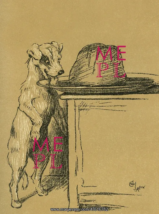 : Illustration by Cecil Aldin, A Dog Day : Illustration by Cecil Aldin, A Dog Day