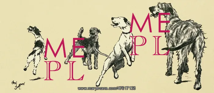 : Illustration by Cecil Aldin, dogs eager for a walk : Illustration by Cecil Aldin, dogs eager for a walk