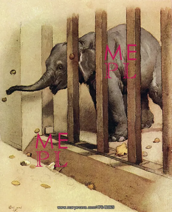 : Illustration by Cecil Aldin, The Elephant : Illustration by Cecil Aldin, The Elephant