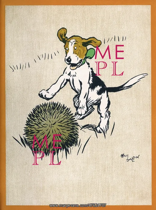 : Illustration by Cecil Aldin, Field Babies : Illustration by Cecil Aldin, Field Babies