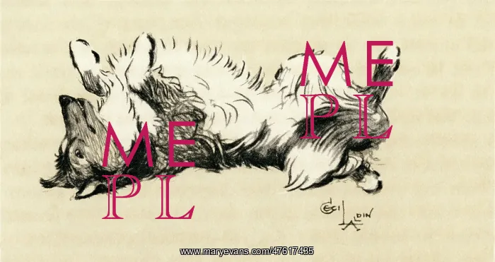: Illustration by Cecil Aldin, fox terrier posing as model : Illustration by Cecil Aldin, fox terrier posing as model