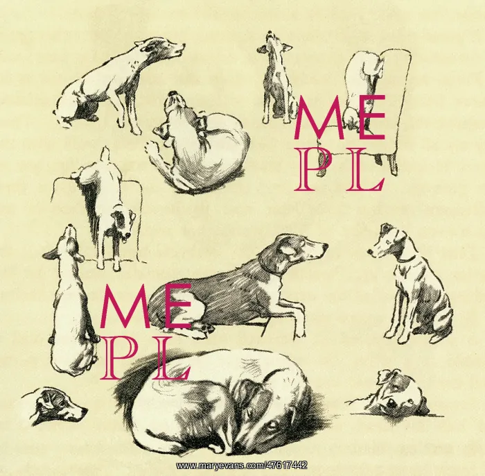 : Illustration by Cecil Aldin, fox terrier posing as model : Illustration by Cecil Aldin, fox terrier posing as model