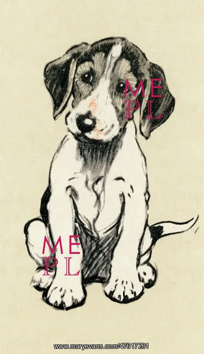 : Illustration by Cecil Aldin, foxhound puppy : Illustration by Cecil Aldin, foxhound puppy