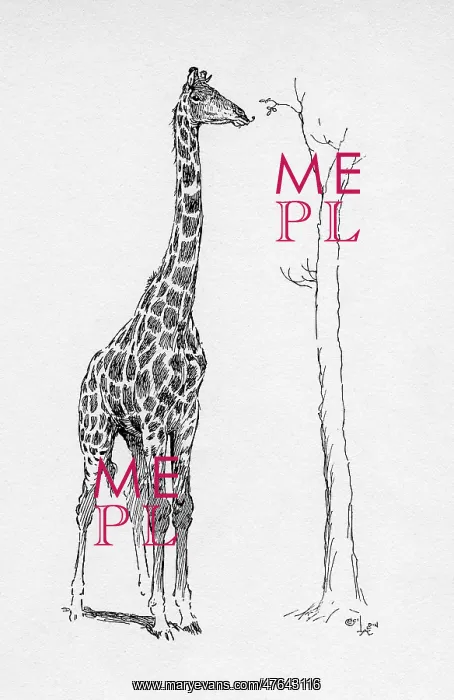  : Illustration by Cecil Aldin, The Giraffe