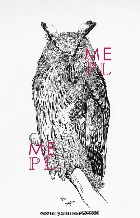  : Illustration by Cecil Aldin, The Great Eagle Owl